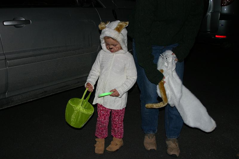 Picture 393.jpg
